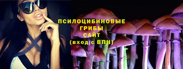 PSILOCYBIN Арсеньев