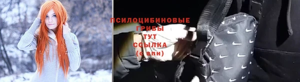 PSILOCYBIN Арсеньев